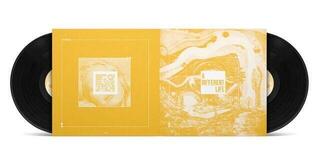 Vinylskiva Catt - A Different Life (LP) - 2