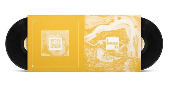 Vinylskiva Catt - A Different Life (LP) - 3
