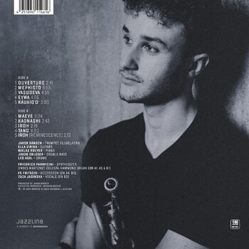 Disque vinyle Jakob Bänsch - All The Others (LP) - 2