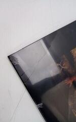 Hanglemez Ramones - Brain Drain (LP) (Csak kicsomagolt) - 2