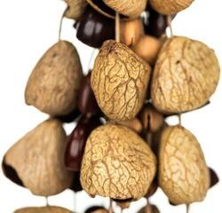 Chimes Shamann Mixed Seed 44pcs Shaker - 6