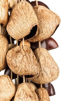 Chime Shamann Mixed Seed 70pcs Chime - 5