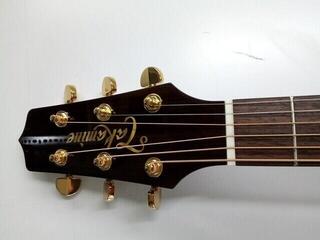 Elektroakustinen kitara Takamine P5NC Natural Elektroakustinen kitara (Uudenveroinen) - 3