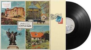 Vinilinė plokštelė Graham Coxon - Castle Park (LP) - 1
