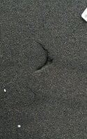 Mega Acoustic PA-PMP5-DG-50x50x5 Dark Grey Absorbent foam panel