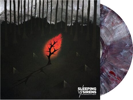 Disc de vinil Sleeping With Sirens - An Ending In Itself (Coloured) (LP) - 2