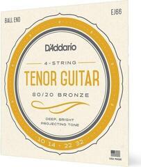 Autres jeux de cordes D'Addario EJ66 Autres jeux de cordes - 2