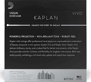 Saiten für Streichinstrumente D'Addario KV311 4/4M Saiten für Streichinstrumente - 2