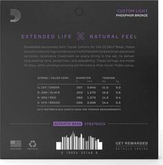 Acoustic Bass Strings D'Addario XTB3790GS Acoustic Bass Strings - 1