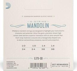 Žice za mandolinu D'Addario EJ73-3D Žice za mandolinu - 1