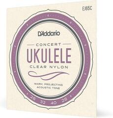 Stygos koncertinei ukulelei D'Addario EJ65C Stygos koncertinei ukulelei - 2
