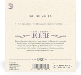 Stygos koncertinei ukulelei D'Addario EJ65C Stygos koncertinei ukulelei - 1
