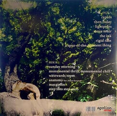 LP deska Bladverk - Monumental Thrill, Monumental Chill (LP) - 1