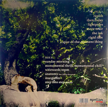 LP deska Bladverk - Monumental Thrill, Monumental Chill (LP) - 2