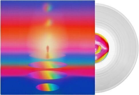 LP ploča Bayonne - Filters (Clear Coloured) (LP) - 2
