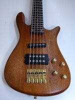SX SWB1/5 Natural 5-strunová basgitara