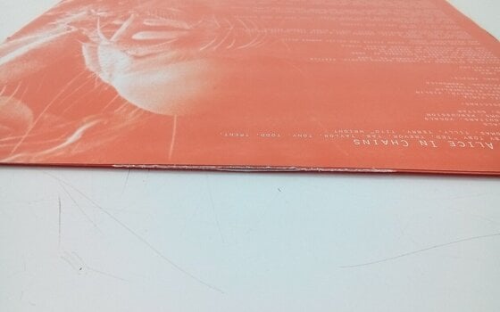 Schallplatte Alice In Chains - Jar Of Flies (LP) (Nur ausgepackt) - 4