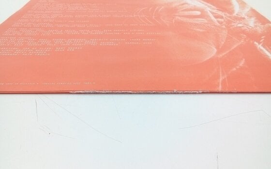 Schallplatte Alice In Chains - Jar Of Flies (LP) (Nur ausgepackt) - 5