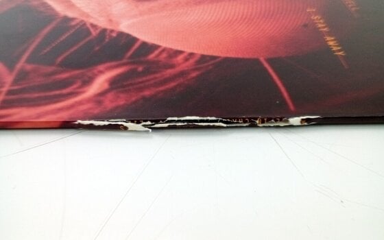 Schallplatte Alice In Chains - Jar Of Flies (LP) (Nur ausgepackt) - 10