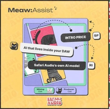 Studio-Effekt-Plugin Safari Audio Meaw : Assist (Digitales Produkt) - 2