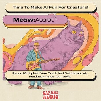 Studio-Effekt-Plugin Safari Audio Meaw : Assist (Digitales Produkt) - 3