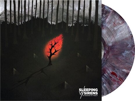 Disque vinyle Sleeping With Sirens - An Ending In Itself (Indie Exclusive) (Black/White/Red Swirl Coloured) (LP) - 2