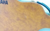 Yamaha CASE APX Etui til akustisk guitar