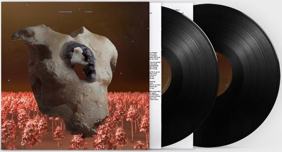Грамофонна плоча Soap & Skin - Torso (2 LP) - 2