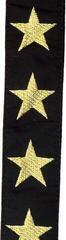 Curea de chitară D'Addario 20T05 Woven Gold Star Curea de chitară - 1