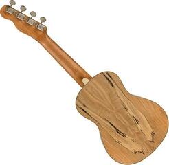 Concert Ukulele Fender Zuma Exotic WN Natural Spalted Maple Concert Ukulele - 1