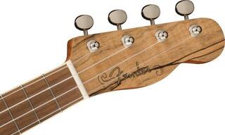 Concert Ukulele Fender Zuma Exotic WN Natural Spalted Maple Concert Ukulele - 4