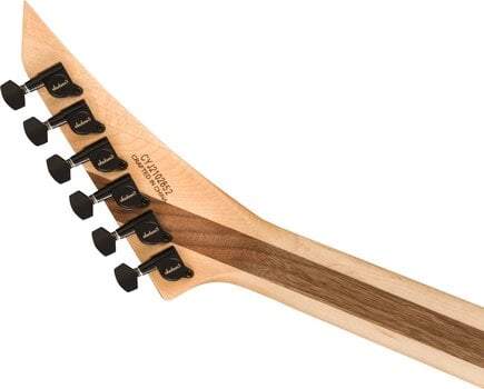 Electric guitar Jackson Pro Plus Series Rhoads RR24 EB Mirror Electric guitar - 6