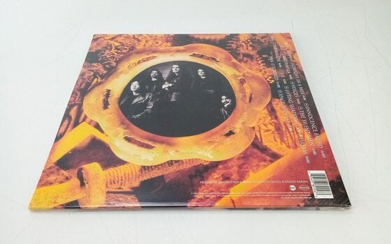 Vinyl Record Dream Theater - Awake (Clear Coloured) (2 LP) (Just unboxed) - 6