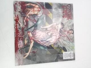 Vinyl Record Cannibal Corpse - Bloodthirst (Remastered) (180g) (LP) (Just unboxed) - 1