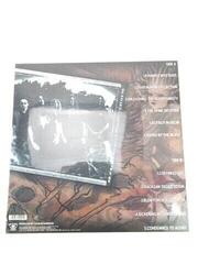 Vinyl Record Cannibal Corpse - Bloodthirst (Remastered) (180g) (LP) (Just unboxed) - 2