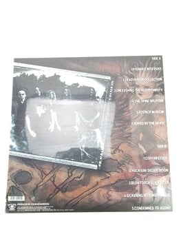 Vinyl Record Cannibal Corpse - Bloodthirst (Remastered) (180g) (LP) (Just unboxed) - 3
