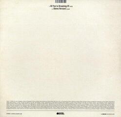 Schallplatte Liam Gallagher - All You're Dreaming Of... (Limited Edition) (White /Etched Coloured) (LP) - 1