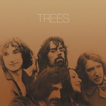 LP ploča Trees - Trees (Limited Edition) (Box Set) (Gold Coloured) (4 LP) - 2