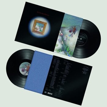 Vinylplate My New Band Believe - My New Band Believe (LP) - 2