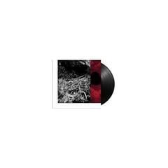 Грамофонна плоча Bruit ≤ - Monolith (LP) - 1