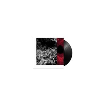 Грамофонна плоча Bruit ≤ - Monolith (LP) - 2