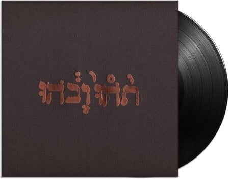 LP platňa Godspeed You! Black Emperor - Slow Riot For New Zero Kanada E.P. (Reissue) (180 g) (EP) - 2