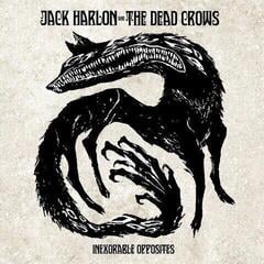 Disque vinyle Jack Harlon & The Dead Crows - Inexorable Opposites (Blue Marble Coloured) (LP) - 1