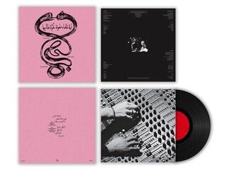 Hanglemez Radwan Moumneh & Frédéric D. Oberland - Eternal Life No End ليلة ظلماء ملعونة، كحياة طالبيها (LP) - 1