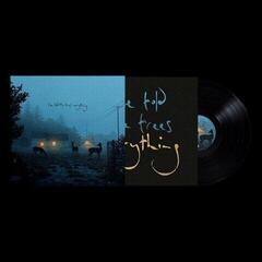 Schallplatte Dermot Kennedy - I've Told The Trees Everything (EP) - 1