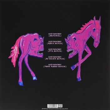 Schallplatte Goat Girl - Sad Cowboy (Limited Edition) (LP) - 2