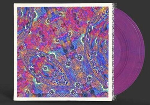 Schallplatte Carlos Niño & Friends - Placenta (Limited Edition) (Coloured) (2 LP) - 2