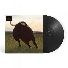 Hanglemez The Royston Club - Songs For The Spine (LP) - 1