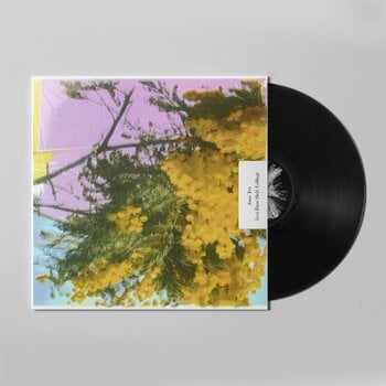 Schallplatte Four Tet - Into Dust (Still Falling) (LP) - 2