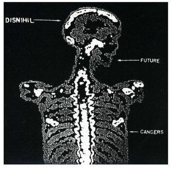 Vinyl Record Disnihil - Future Cancers (LP) - 2